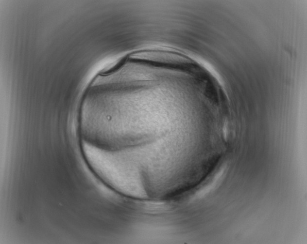 X0000113861007200910081702