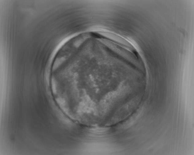 X0000113861008200910081702