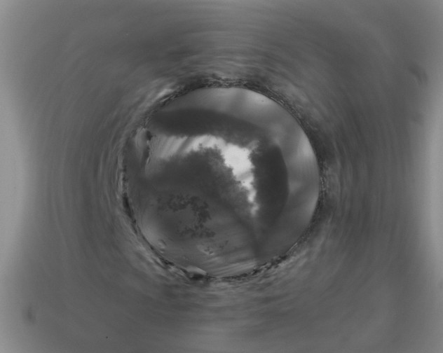 X0000113861009200910081701