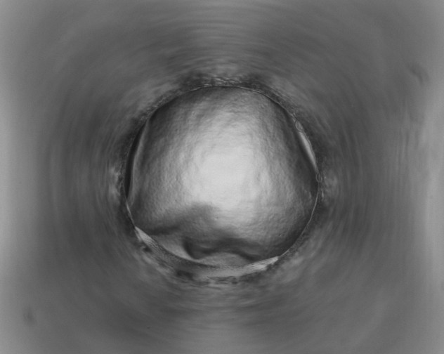 X0000113861010200910081701