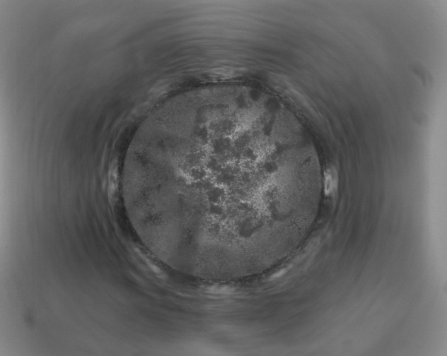 X0000113861011200910081701
