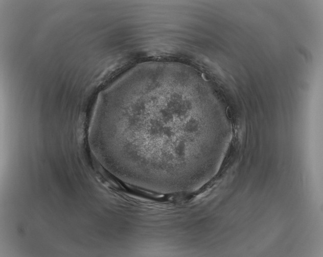 X0000113861012200910081701