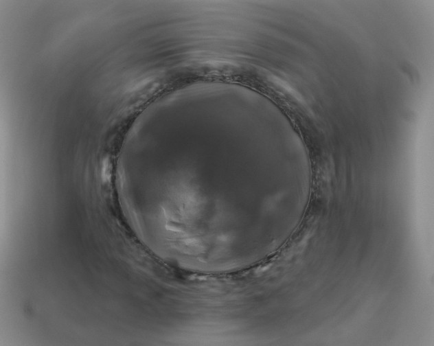 X0000113861013200910081701