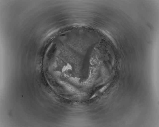 X0000113861015200910081701