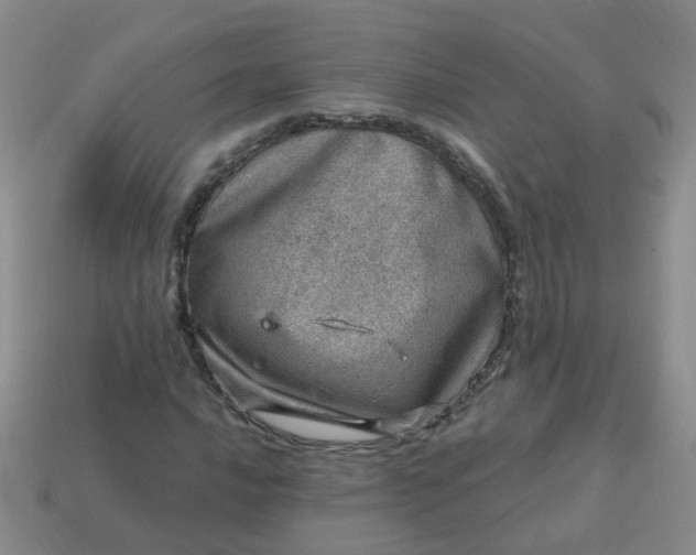 X0000113861016200910081701