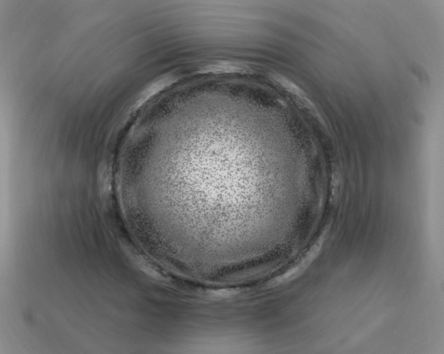 X0000113861017200910081701
