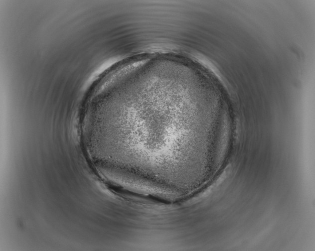 X0000113861018200910081701