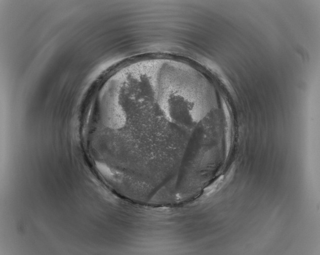 X0000113861019200910081701