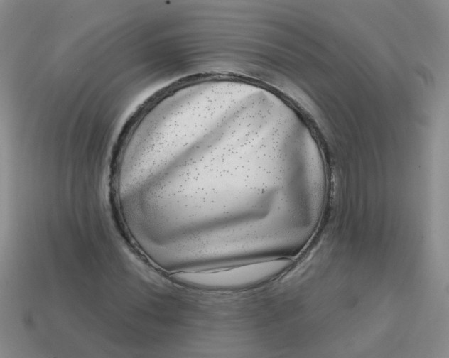 X0000113861020200910081701