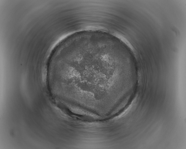 X0000113861021200910081701