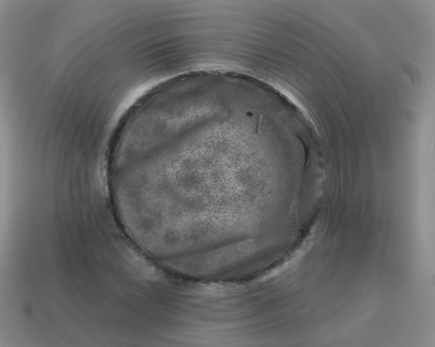 X0000113861022200910081701