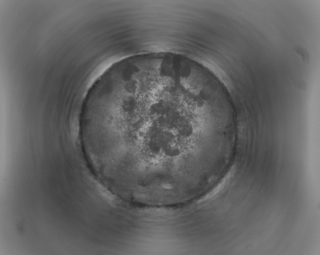 X0000113861023200910081701