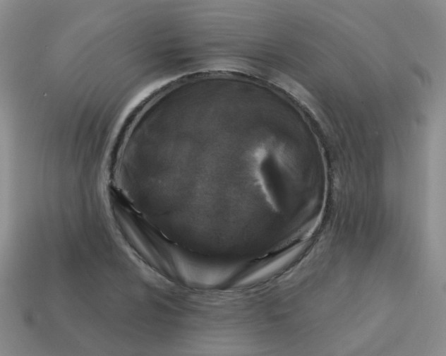 X0000113861024200910081701