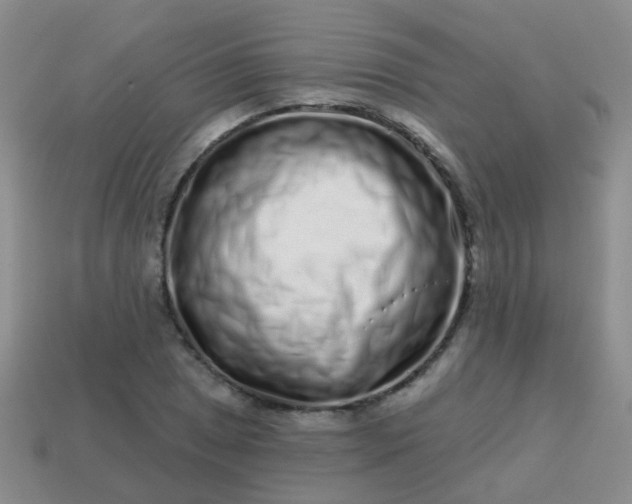 X0000113861025200910081701