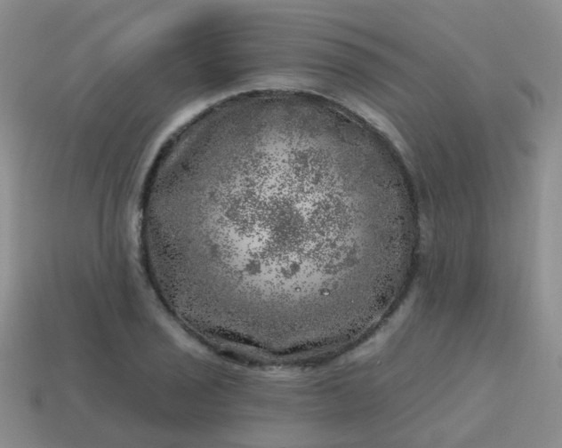 X0000113861029200910081701