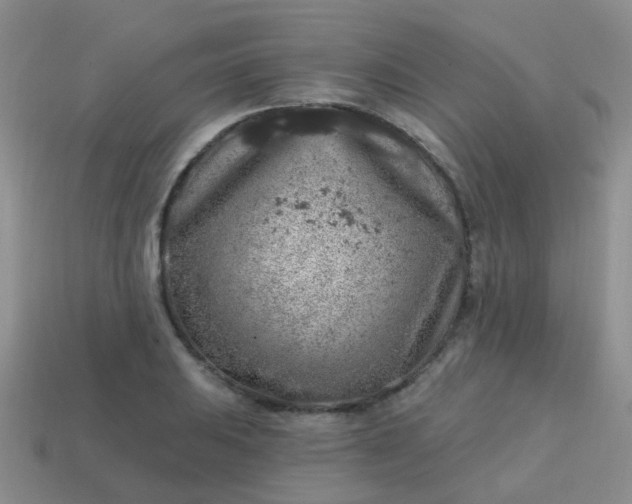 X0000113861031200910081702
