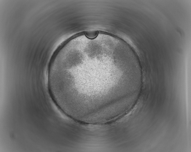 X0000113861032200910081702