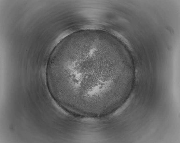 X0000113861033200910081702