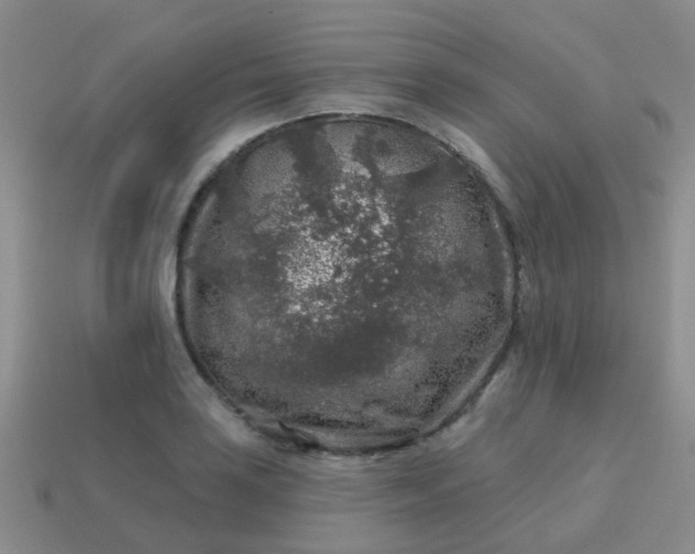 X0000113861035200910081702
