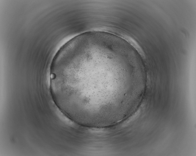 X0000113861036200910081702