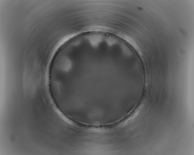 X0000113861037200910081702