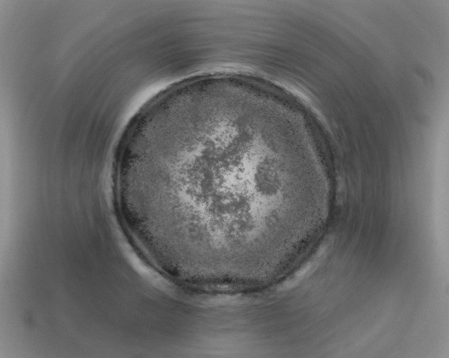 X0000113861038200910081702