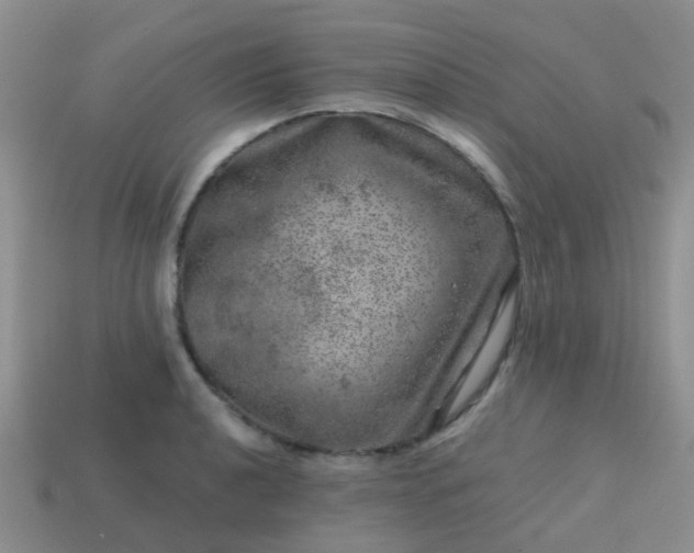 X0000113861040200910081702