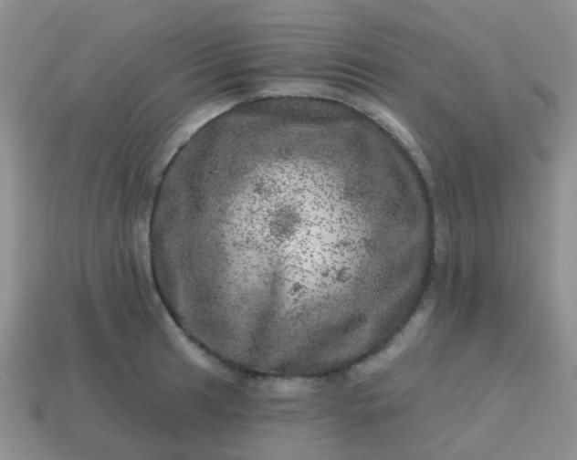 X0000113861041200910081702