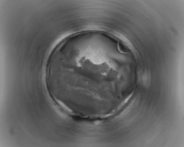X0000113861043200910081702