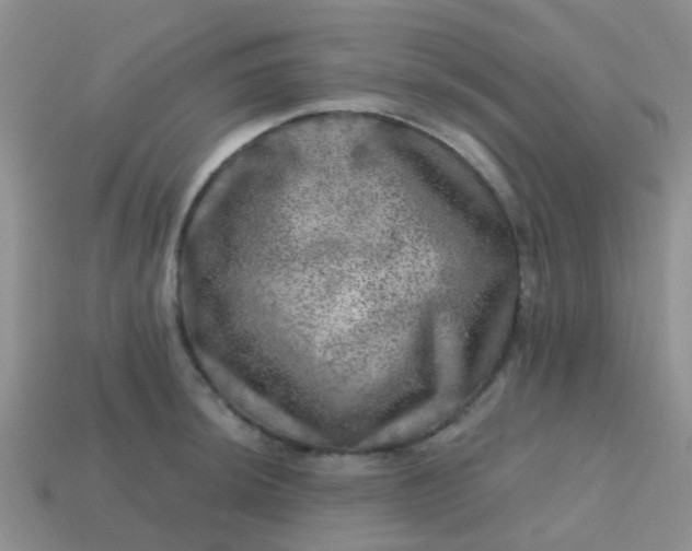 X0000113861044200910081702