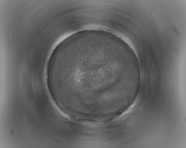 X0000113861045200910081702