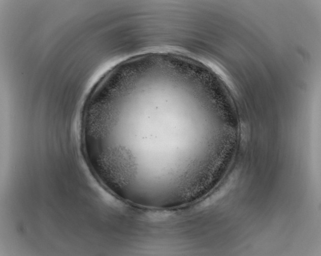 X0000113861046200910081702