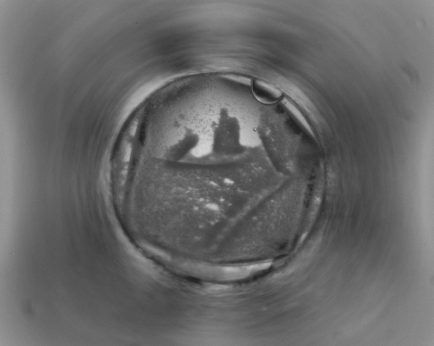 X0000113861047200910081702
