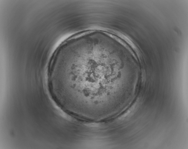 X0000113861048200910081702