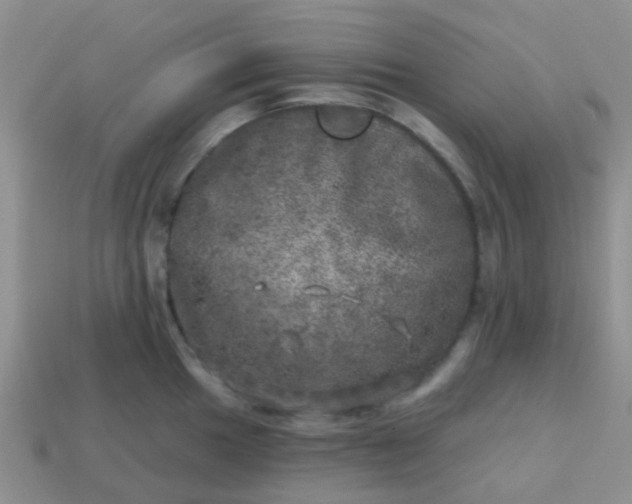 X0000113861049200910081702