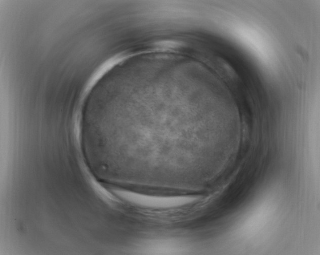 X0000113861054200910081702