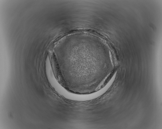 X0000113861057200910081701