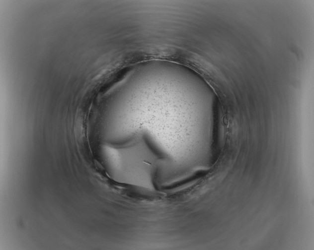 X0000113861058200910081701