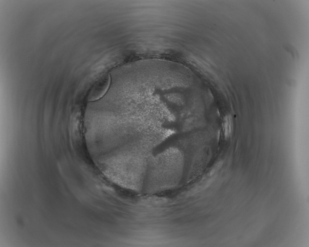 X0000113861059200910081701