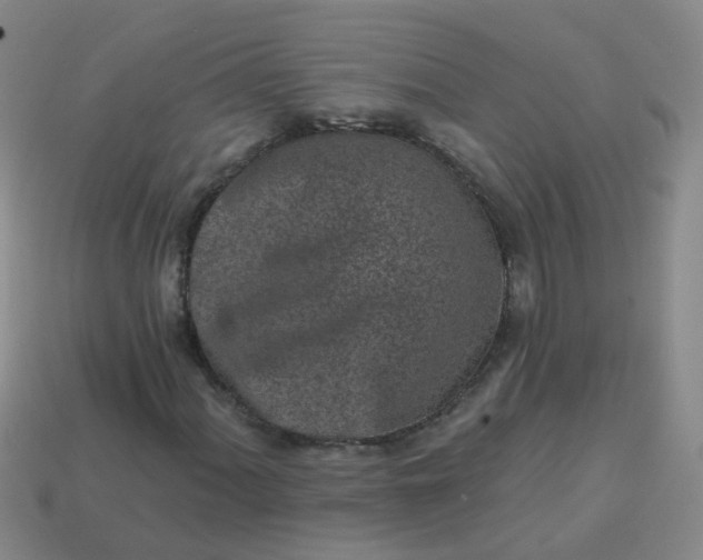 X0000113861060200910081701