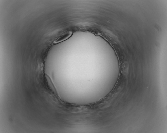 X0000113861061200910081701