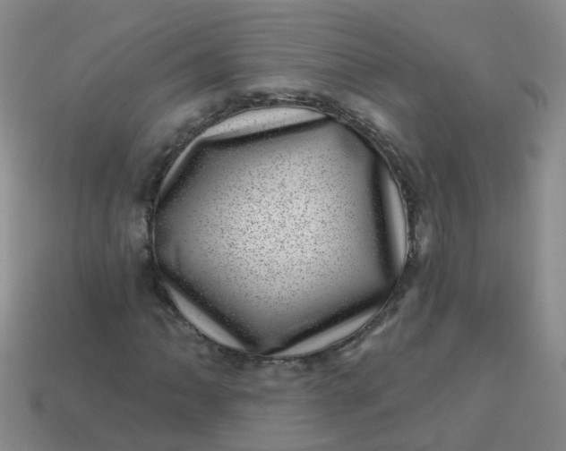 X0000113861062200910081701