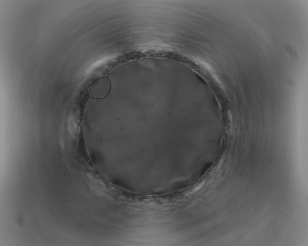 X0000113861063200910081701