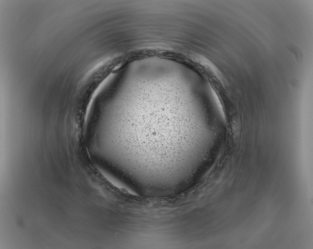 X0000113861064200910081701