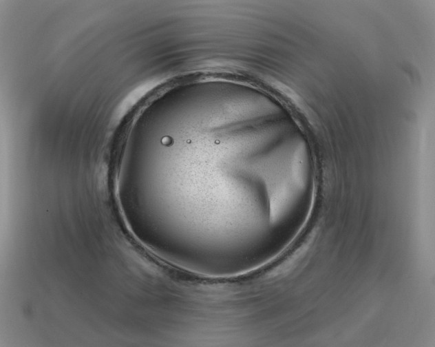 X0000113861066200910081701