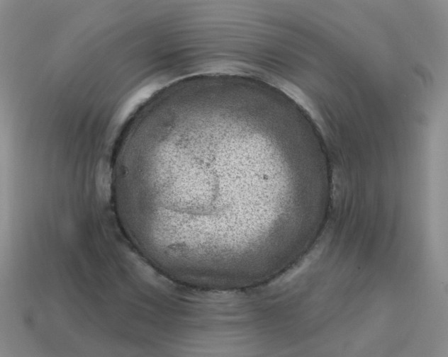 X0000113861067200910081701