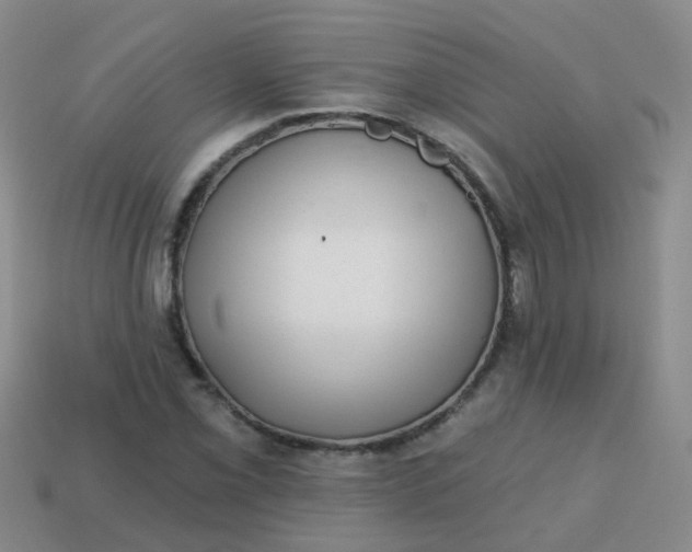 X0000113861069200910081701