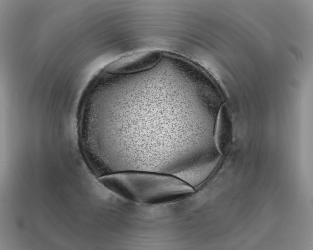 X0000113861072200910081701