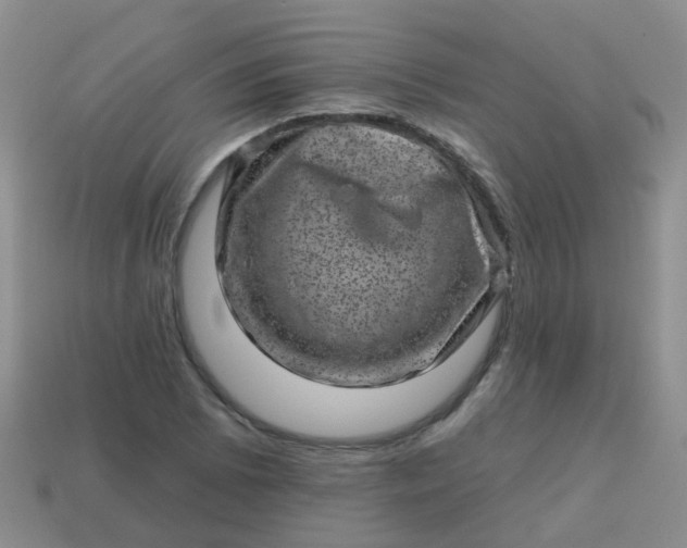 X0000113861073200910081701