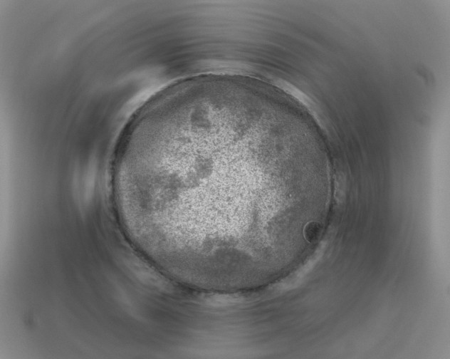 X0000113861074200910081701